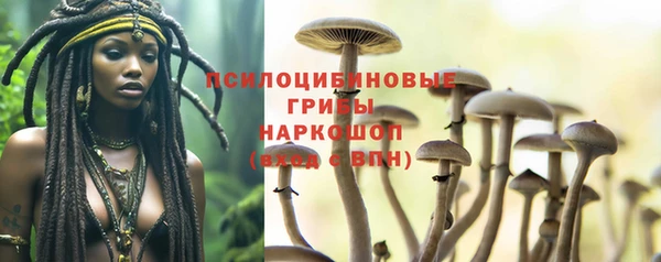 гидропоника Алексеевка