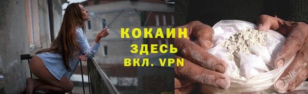 винт Алзамай