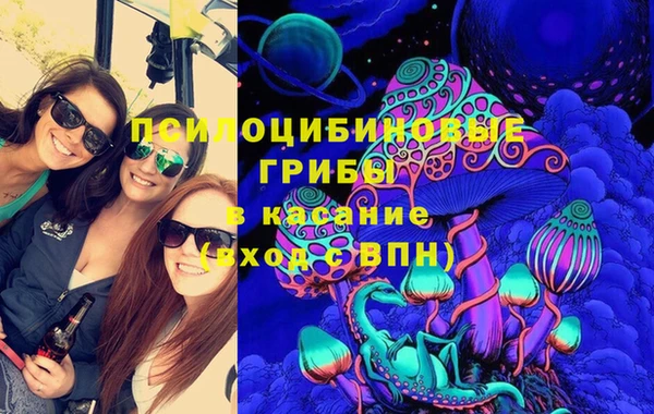 винт Алзамай