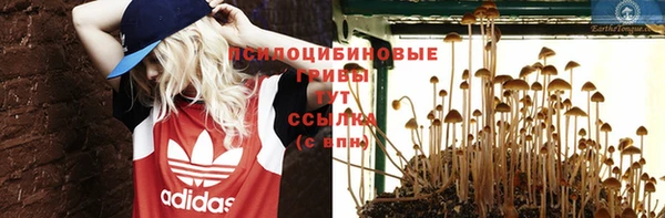 гидропоника Алексеевка