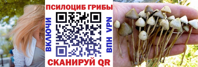 Псилоцибиновые грибы GOLDEN TEACHER МЕГА вход Завитинск